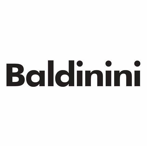 baldininilogo.jpeg
